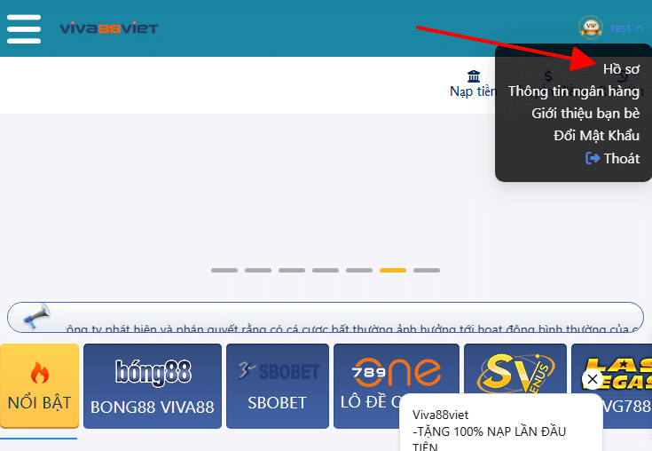 Hồ sơ viva88viet Hồ sơ viva88viet