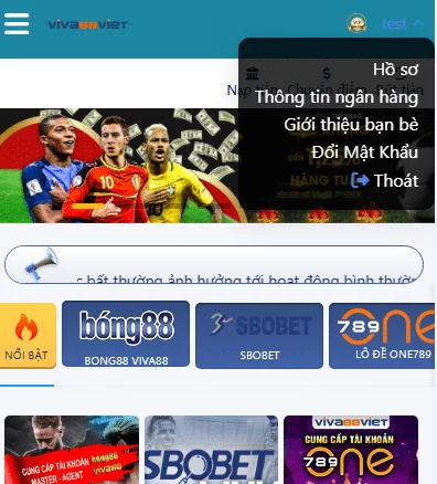 Hướng dẫn rút tiền 2 Hồ sơ thành viên trên hệ thống Viva88