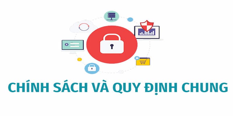 Miễn trừ trách nhiệm 6 chính sách và quy định chung viva88