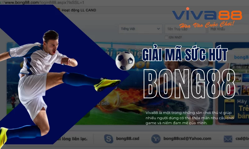 Giải mã sức hút của Bong88 - Sảnh cá cược SIÊU ĐỈNH Giải mã sức hút của Bong88 - Sảnh cá cược SIÊU ĐỈNH