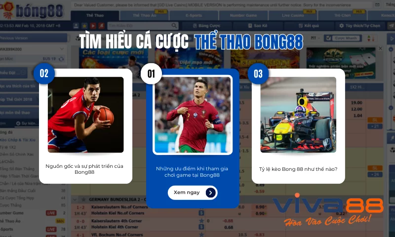 Tìm hiểu về trang cá cược thể thao Bong88 Tìm hiểu về trang cá cược thể thao Bong88