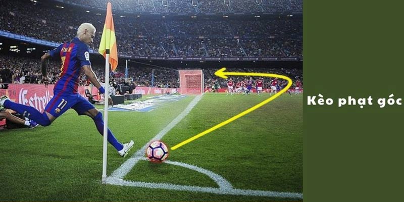 Cách Chơi Kèo Tài Xỉu Phạt Góc Dễ Hiểu Nhất Trong Cá Cược Bóng Đá 4 cách chơi kèo tài xỉu phạt góc